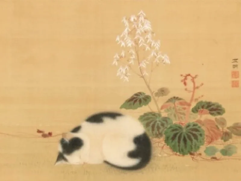 1778-Hara Zaimei - Gatto che dorme